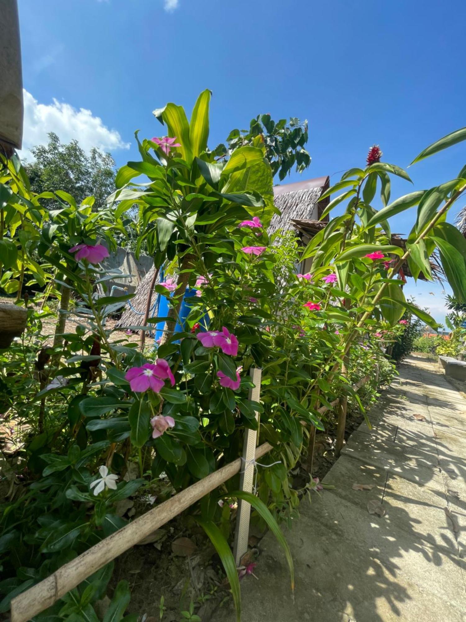 Phuketairportcamping Hotel Ban Bo Sai Klang Luaran gambar